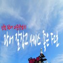 전남낚시마트