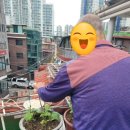 수지어르신요양센터