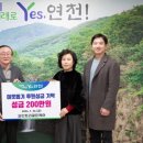 골든파인트리 이미지