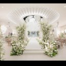 (주)드림플래너 | 부산 벡스코 웨딩홀 투어 후기] 2026 견적 공유 (W웨딩 벡스코웨딩홀) 플래너없이도 가능한 계약 꿀팁