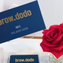 도도브로우 이미지