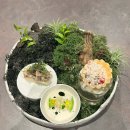 공덕전철역 2번출구 | 서울 공덕 맛집 우수 프라이빗 디너B코스 소개 후기