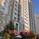 경기 용인시 수지구 도담마을 롯데캐슬아파트 인테리어마감코킹 후기