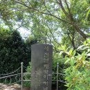 도시철도 배산역 5번출구 | [부산] 이기대(장산봉),광안리해수욕장 산행후기---2025년 7월 15일(화)