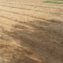 신두리농장 이미지