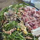 감골오리 이미지