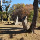 영주청구리입석 이미지