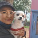 1-37호어린이공원 이미지