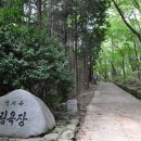 숲속힐링
