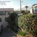 서귀동-5 이미지