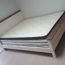 레드파인 이미지