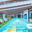 양양 스테이나무 네이버블로그