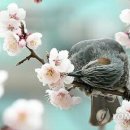 가온홀딩스 이미지