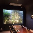 일일시호주 이미지