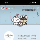 수제간식맛집 이미지