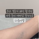 못골로10 네이버블로그