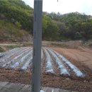 태산농장 이미지