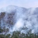 분당 산불… 불곡산서 하늘로 솟구친 연기 이미지