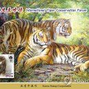 백두산 범 이미지