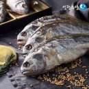 성광 이미지