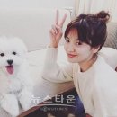 천사애견 - 광명시 오리로403번길 3 | 천사애견