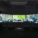 일민미술관 이미지