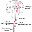 베이스피티 이미지