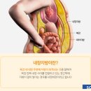 순천향대학교휘트니스 이미지