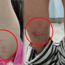 에어라인 이미지