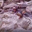 주산공원 이미지