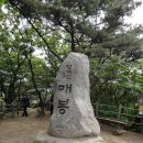 2011.5/31일 화요 산행 청계산 후기글 이미지