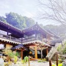 하내테마파크 | 새로 오픈한 화성 서신 전곡항 한옥 베이커리 카페 "한옥버치" 내 돈 내산