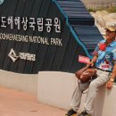 * 사진일기 --- 부산 ------＞목포 -------＞ 홍도 여행길 33 --- 일도 &amp; 홍도 원추리. 이미지