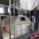 본도시락 영종도운서점 이미지