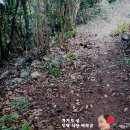 송아지민박 이미지