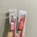금보야 | 2019.03.11~03.17큰행사1시작
