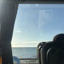 [말라가교환학생] MSE malaga south experience 서핑투어 카디스 Cádiz ElPalma 솔직후기