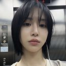더 짧은 단발머리로... 잘랐어요🙎‍♀️ 이미지