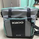 이글루아이스