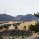 근흥초등학교 이미지