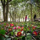 강진농협주유소 이미지