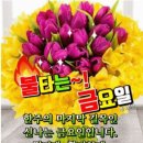 천하태평