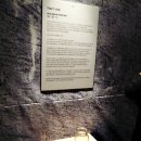 박정현농장 | [러쉬콘서트후기/러쉬냄새나는콘서트]고릴라퍼퓸과의...그리고 장기하와얼굴들.박정현.최재림.더문샤이너스