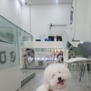중고폰뱅크부산 이미지