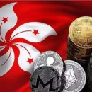 스테이블루 이미지