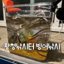 황청낚시터 | 황청낚시터 2026 빙어낚시 개장 방갈로 1박 후기