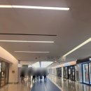 와인킹 팝업 @코엑스 (기간, 위치 &amp; 주관적 후기)