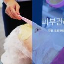 이지함의원 이미지