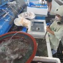 보성회센터 이미지