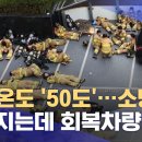 ﻿체감온도 '50도'…소방관 쓰러지는데 회복차량은? (2021.08.07/뉴스데스크/MBC) 이미지